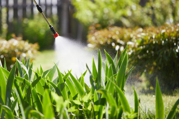 24/7 Emergency Cockroach Control experts in West Salem, OH