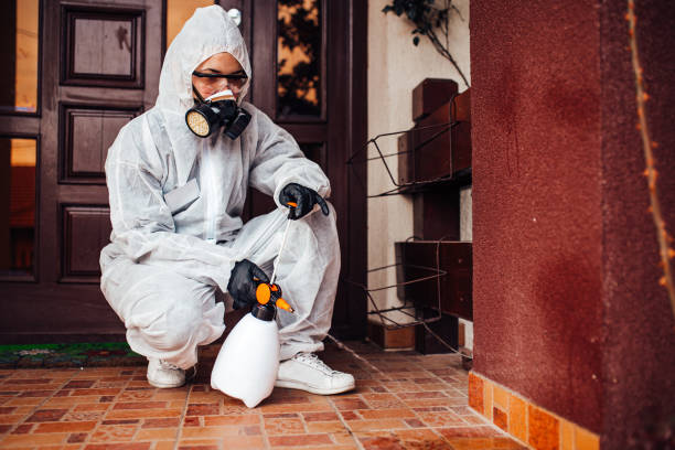 Reliable Cockroach Control contractor in West Salem, OH by Nex Pest Control