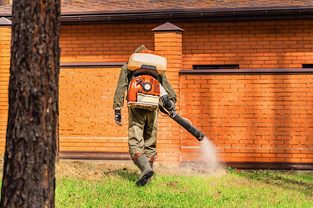 Trusted Cockroach Control service in West Salem, OH - Nex Pest Control